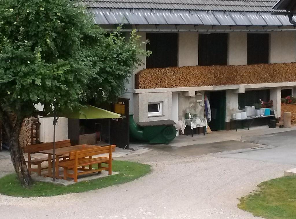 Apartmaji Matej Cvetek 보히니 외부 사진
